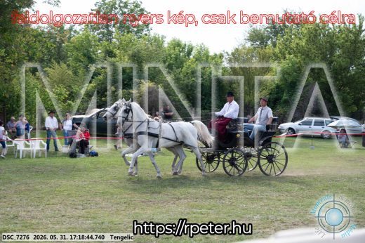 Mintakép 20260531-570