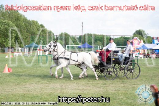 Mintakép 20260531-573