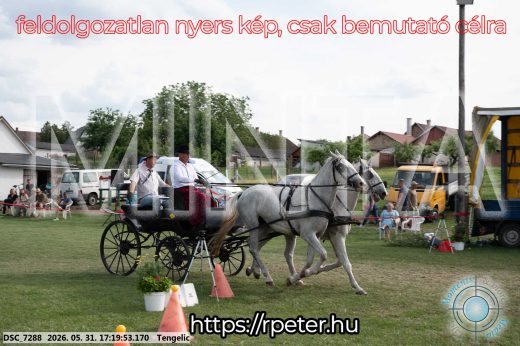 Mintakép 20260531-579