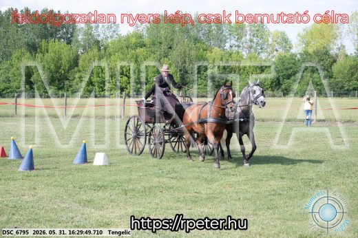 Mintakép 20260531-587