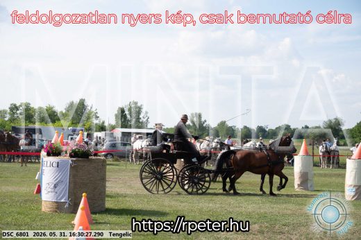 Mintakép 20260531-592