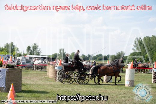 Mintakép 20260531-593