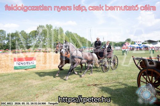 Mintakép 20260531-601