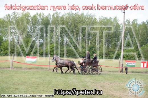 Mintakép 20260531-608