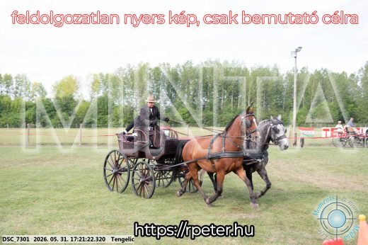 Mintakép 20260531-611