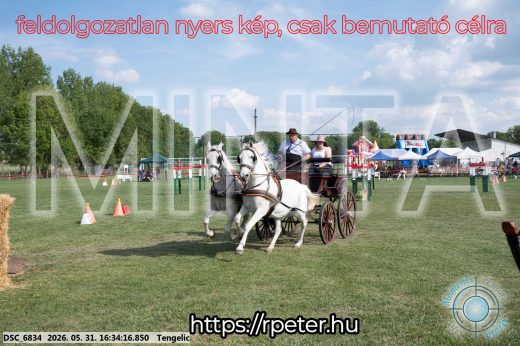 Mintakép 20260531-637