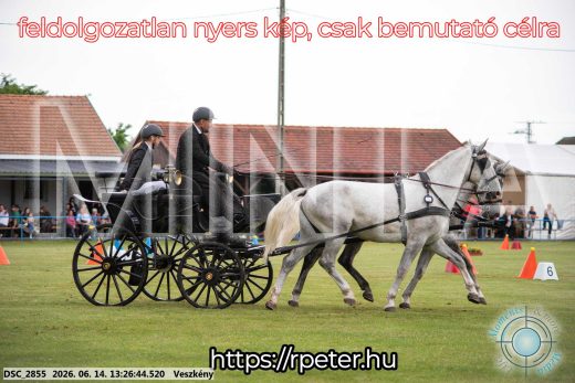 Mintakép 20260614-58
