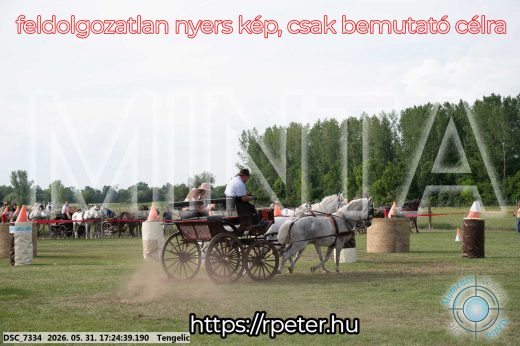 Mintakép 20260531-656