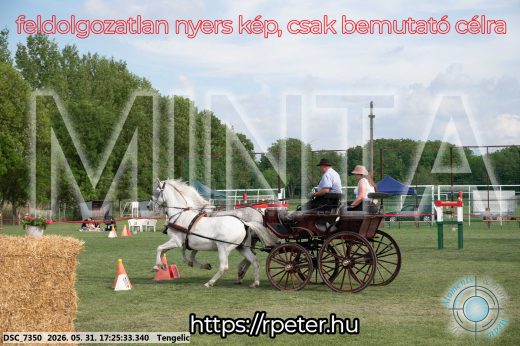 Mintakép 20260531-667