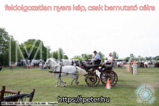 Mintakép 20260531-671