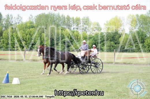 Mintakép 20260531-724