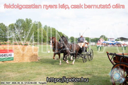 Mintakép 20260531-739
