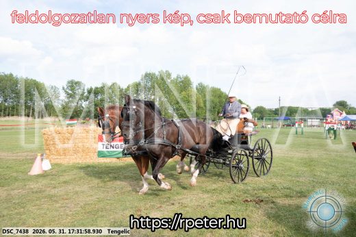 Mintakép 20260531-740