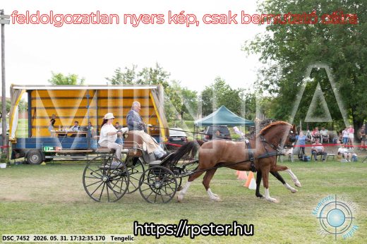 Mintakép 20260531-751
