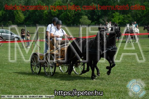 20260531-100647-DSC_7537.jpg