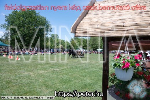 Mintakép 20260531-772