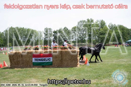 Mintakép 20260531-782