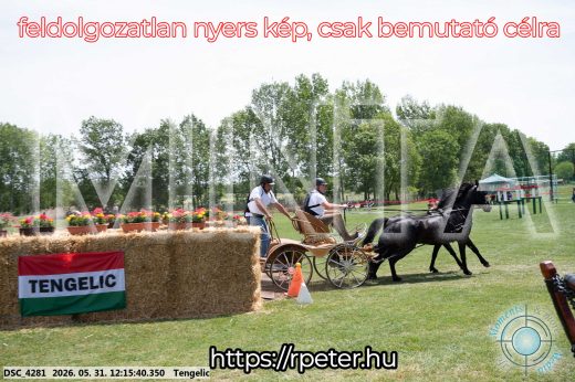 Mintakép 20260531-783