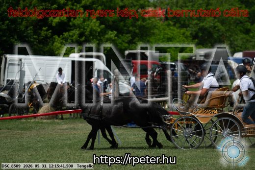 Mintakép 20260531-784