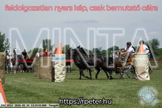 Mintakép 20260531-786