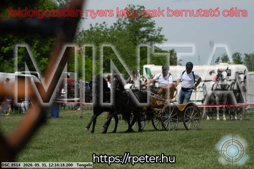 Mintakép 20260531-789