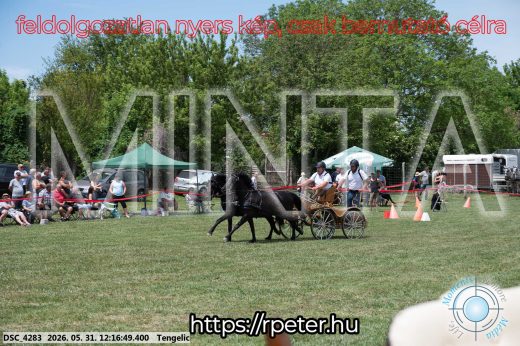 Mintakép 20260531-791