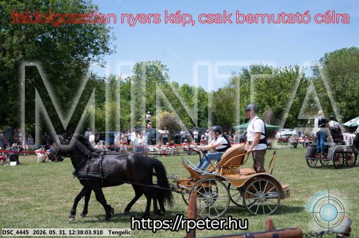 Mintakép 20260531-804