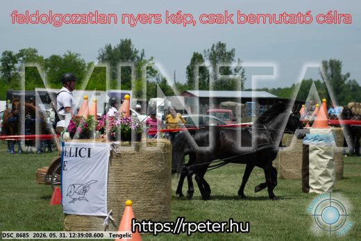 Mintakép 20260531-824