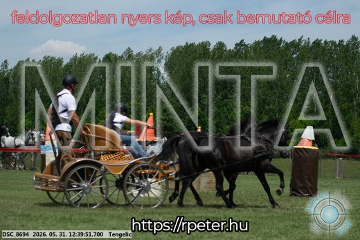 Mintakép 20260531-833