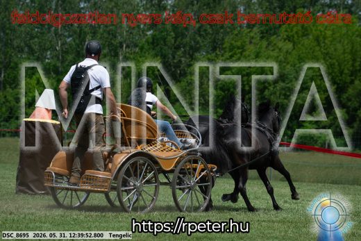 Mintakép 20260531-834