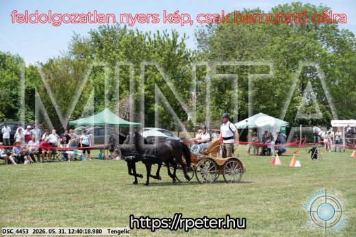 Mintakép 20260531-837