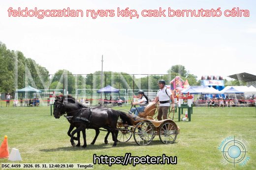 Mintakép 20260531-844