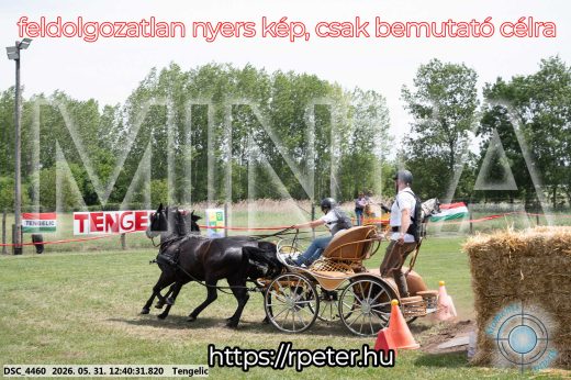 Mintakép 20260531-845