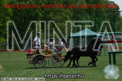 Mintakép 20260531-850