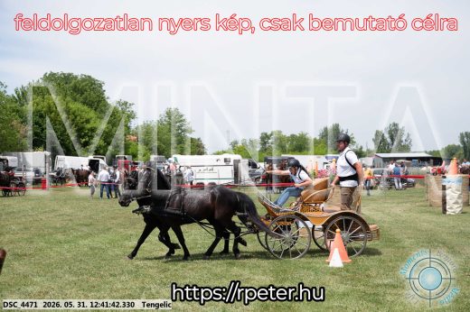 Mintakép 20260531-863