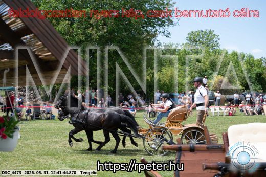 Mintakép 20260531-865