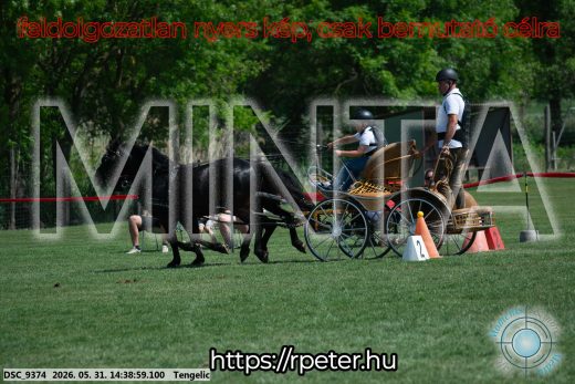 Mintakép 20260531-866