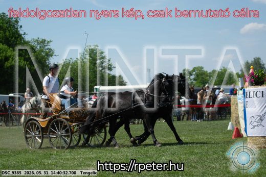 Mintakép 20260531-873