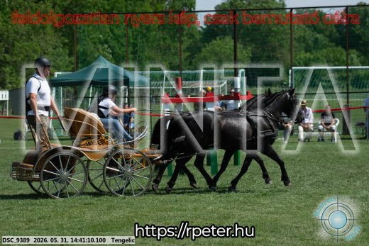Mintakép 20260531-875