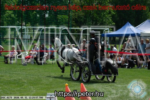 Mintakép 20260531-881