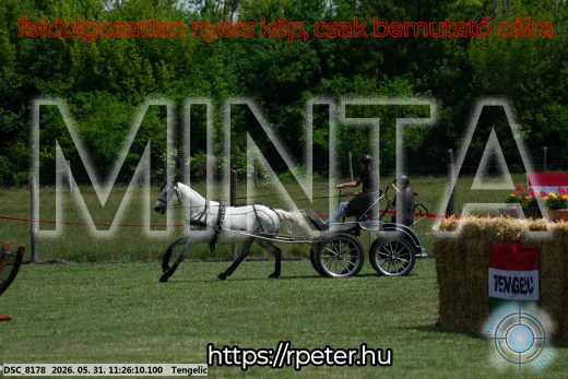 Mintakép 20260531-884