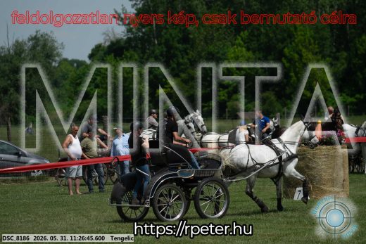 Mintakép 20260531-891