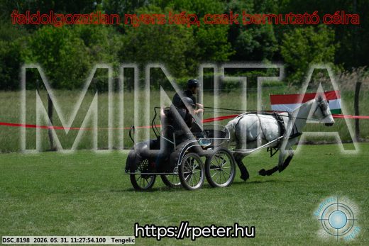 Mintakép 20260531-901
