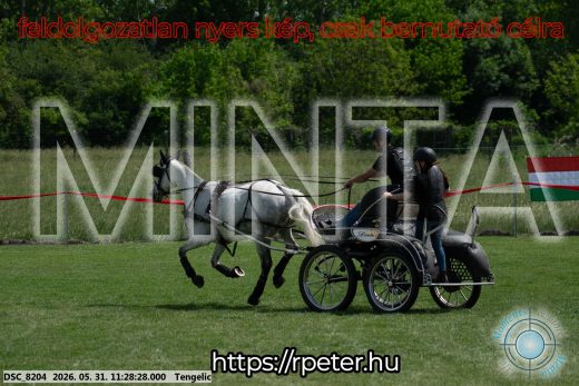 Mintakép 20260531-905