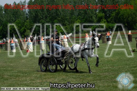 Mintakép 20260531-909