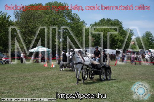 Mintakép 20260531-913