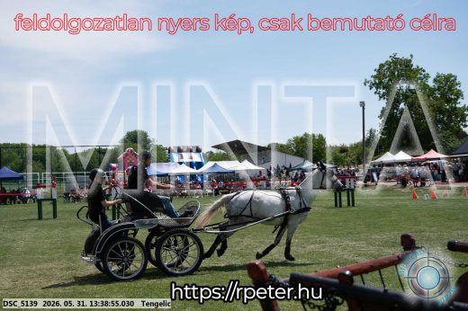 Mintakép 20260531-925