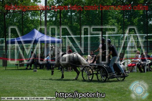 Mintakép 20260531-938