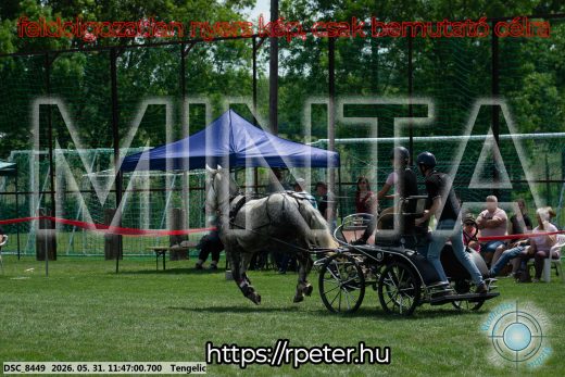 Mintakép 20260531-939