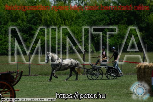 Mintakép 20260531-943